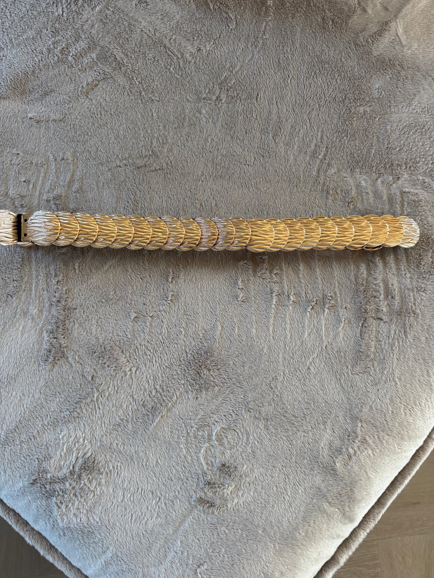 riem gouden schijven