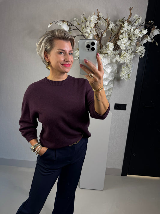 Trui Sanne aubergine